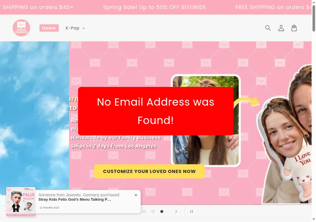 Missing email contact field on pillowmommy.com